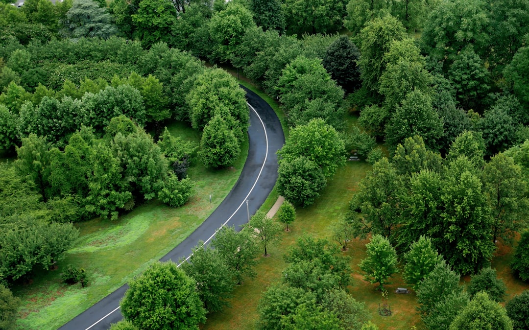 The Environmental Benefits of Driving a Hybrid: Greener Without Going Full Electric